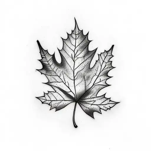 Leaves Falling From Tree