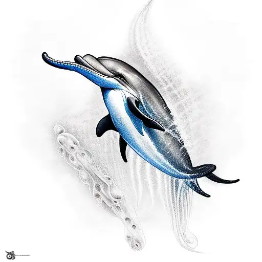 Dolphin And Jellyfish