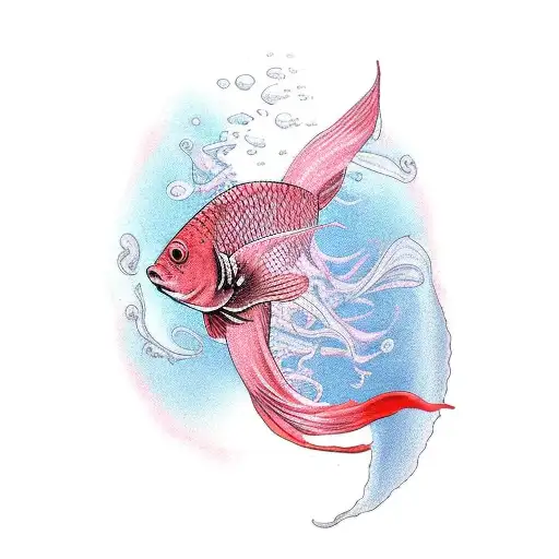 Two Pink Water Lily And Red Betta Fish