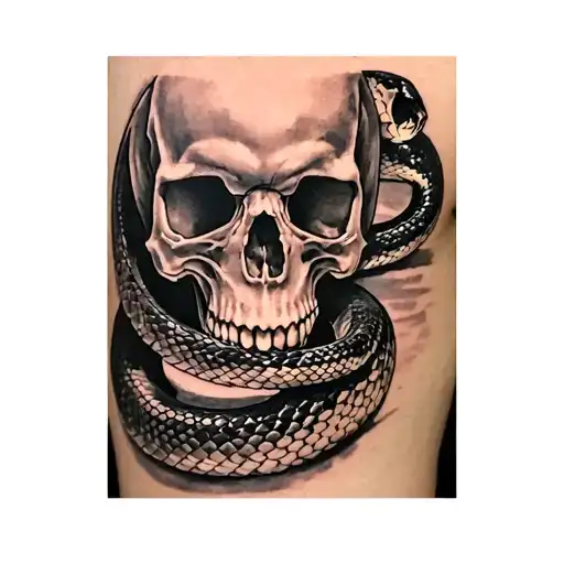 Snake With A Skull