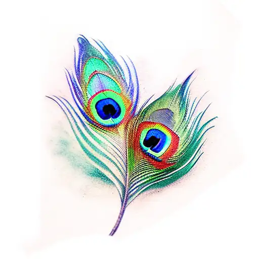 Colourful Peacock Feather On An Ink Pen Drawing Footsteps