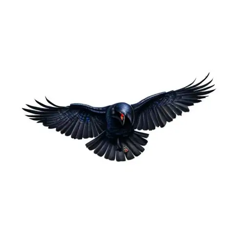 A Raven