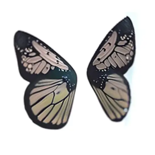 Butterfly Wings With A Semi Colon As Body And One Wing Should Be A Moth's Wing