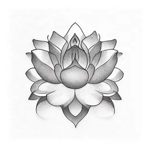 Lotus Flower And Above It Name Rea