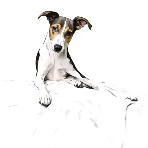 A Dog Laying On A Bed