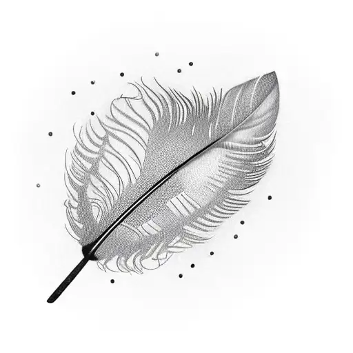 Bird Feather With The Name Nancy As Morse Code In The Feather Branch