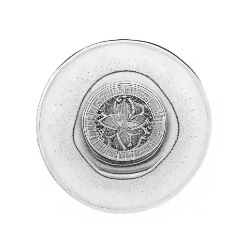 A Coin Dropping In Water