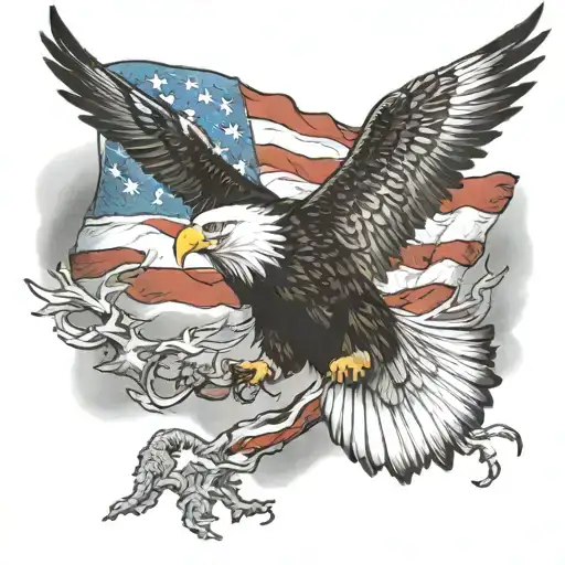 Eagle And American Flag