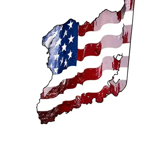 Tattered American Flag Under Skin Glass Bones