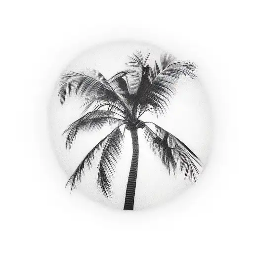 Palm Tree