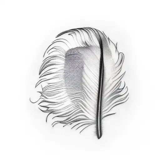 Feather With Blood On It