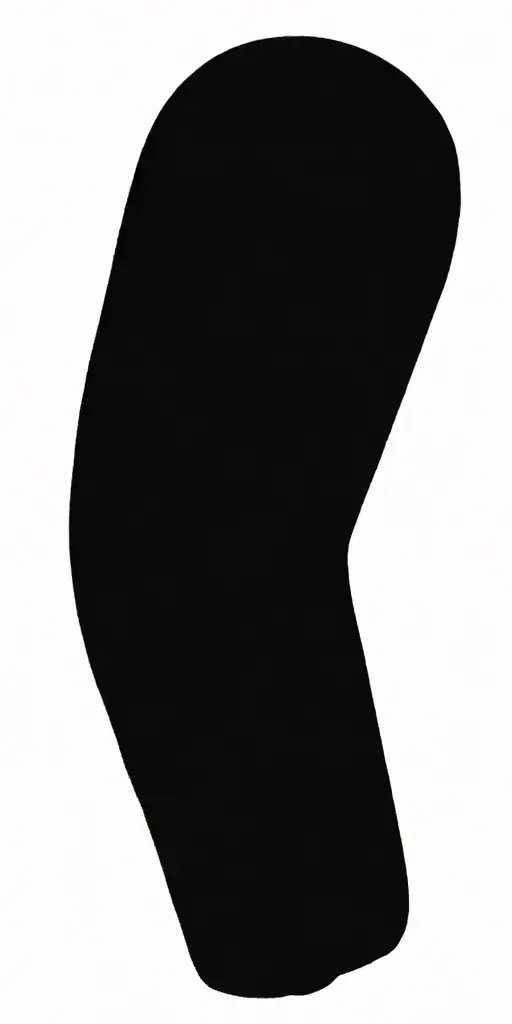 Black Jaguar Spots Face And Body