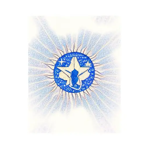 Outline Of Texas With Field Of Bluebonnets With Sunset