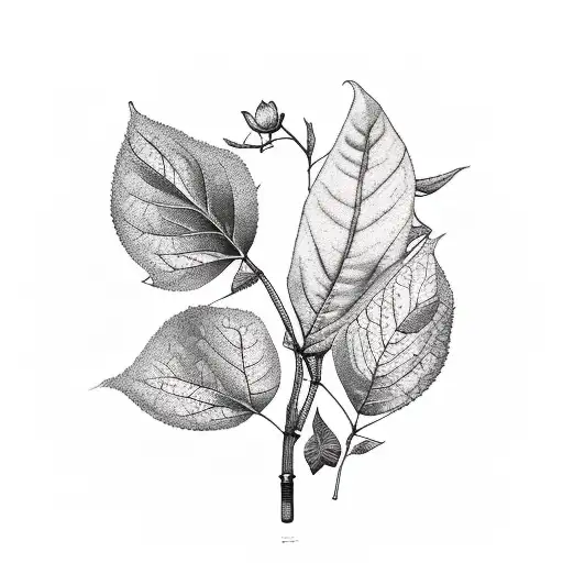 Leaves And Flowers Of The Orange Tree