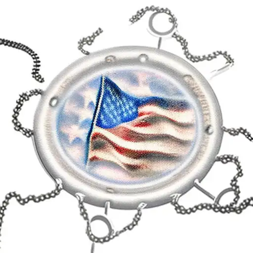 Tattered Us Flag With Dog Tags