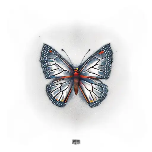 Sunset Cardinal Monarch Butterfly