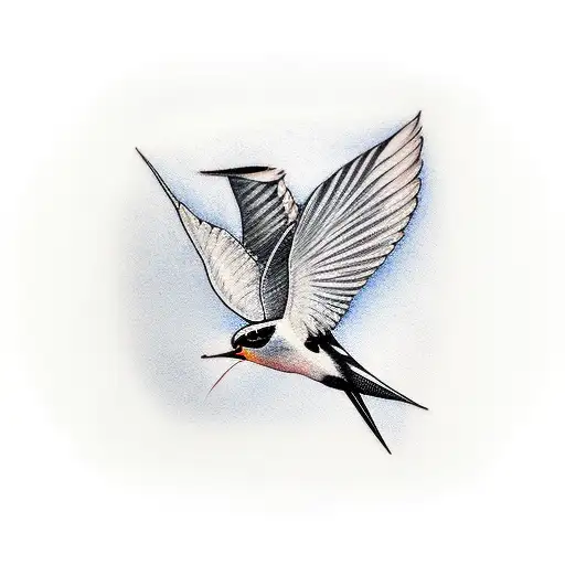 Swallow Bird And Lilly Of The Valley