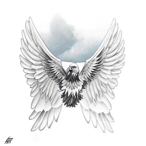 Eagle Flying Spread Wings