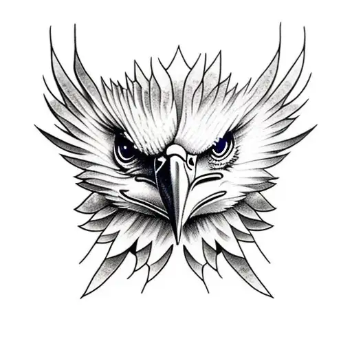 Eagle Landing On A Branch