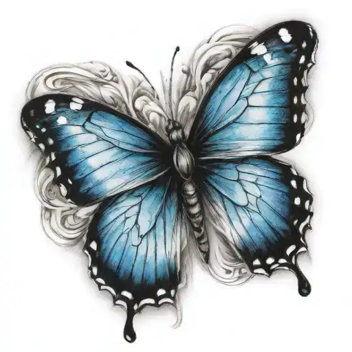 Black And Blue Butterfly