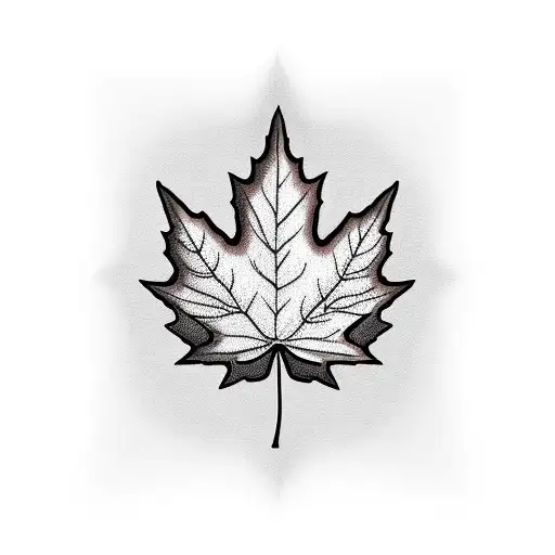 Fall Time Maple Leaf