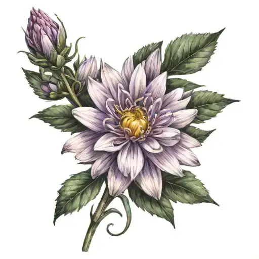 Aster Flower