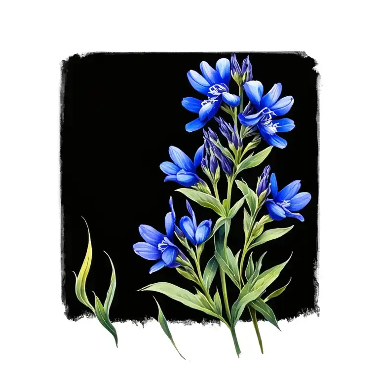 Bluebonnet Flower