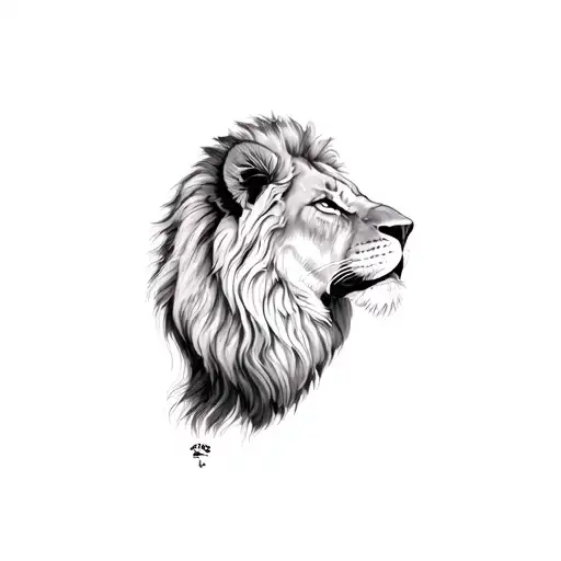 A Lion