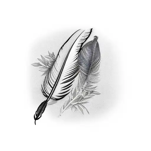 Black Cockatoo Feather