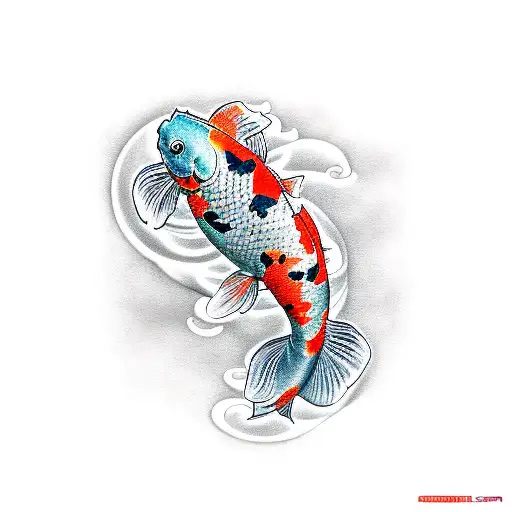 Koi Fish