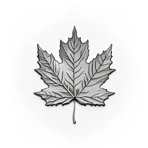 Maple Leaf