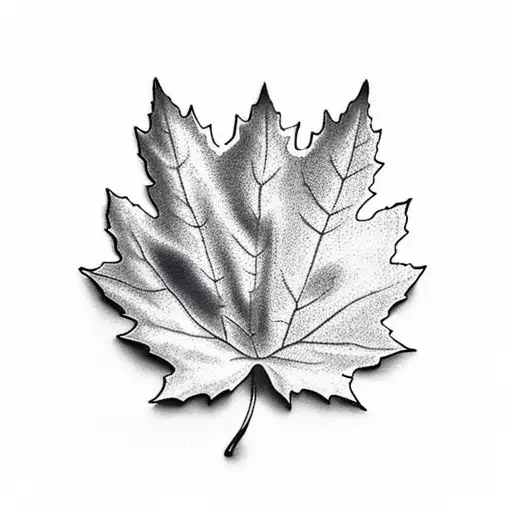 Maple Leaf
