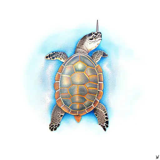 Turtle With Hammerhead