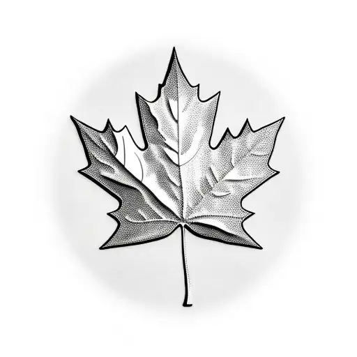 Canada Flag Maple Leaf In Autumn Colours