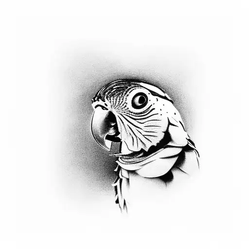 Fish Scaros Parrot Red And Black