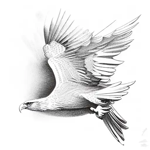 Flying Eagle Without Background