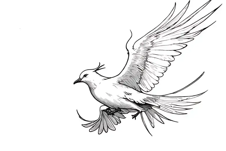 White Dove And Dark Dove Flying