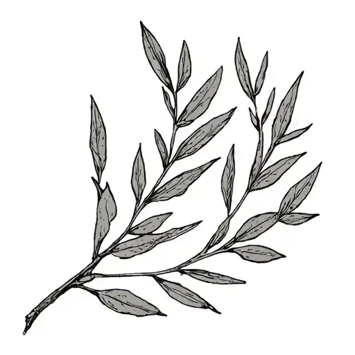 Olive Branch Intertwined 27 Of May 1935 To 28 Of The Naruto Manga