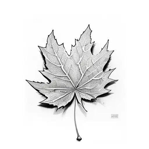 Leaf