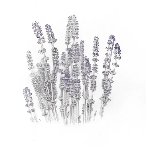 Lavender And Lily Of Valley