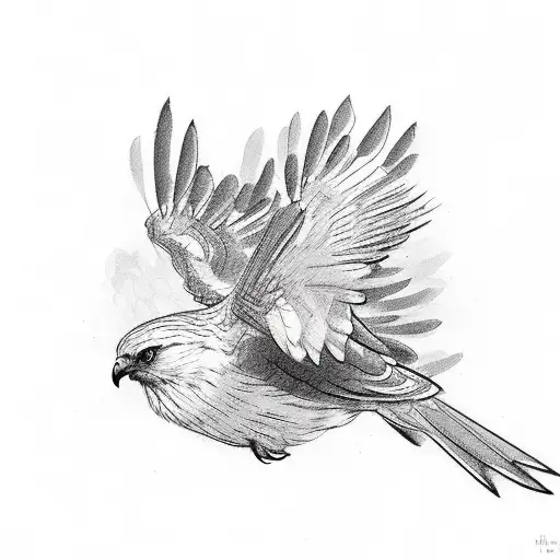 A Little Bird Getting Saved By A Hawk