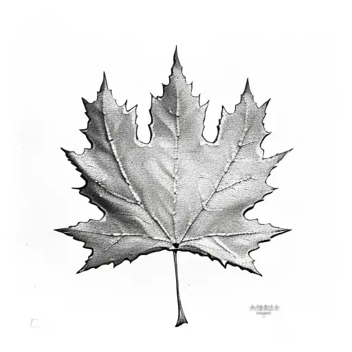 Maple Leaf
