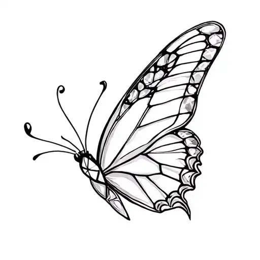 A Diamond Butterfly With Shade Ect