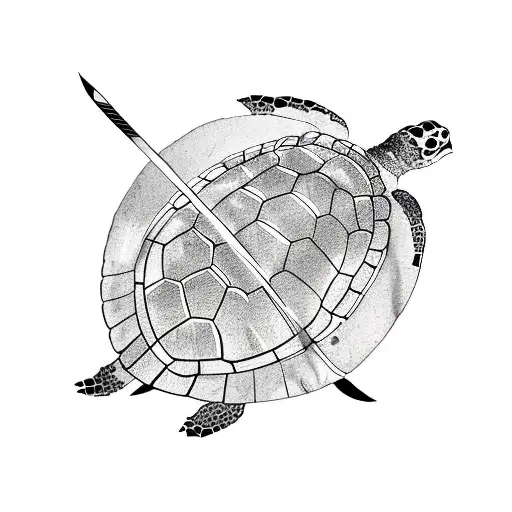 Turtle With Samurai Sword