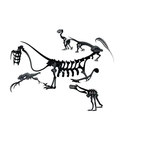 Skeleton Of Dinosaurs