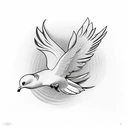 Stages Of A Dove Going To Heaven