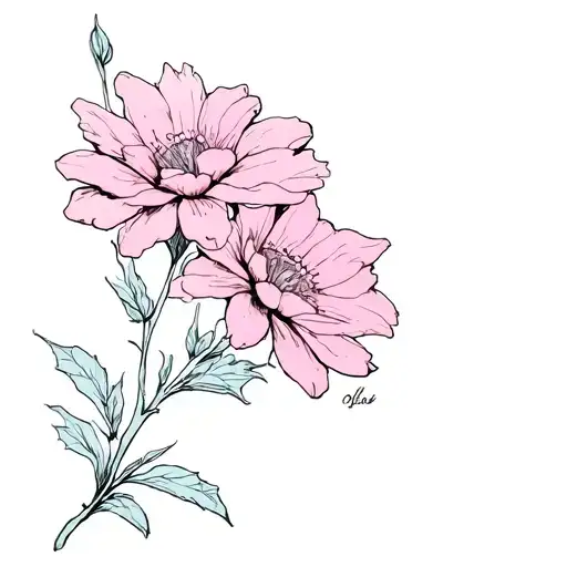 Cosmo Flower Growing