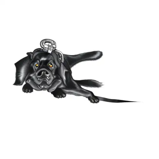 A Black Dog On A Leash