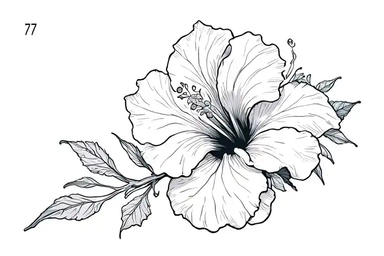 Hibiscus With 777 Symbol Within