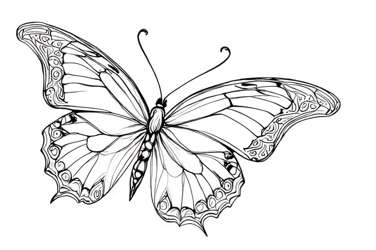 Fine Line Butterfly